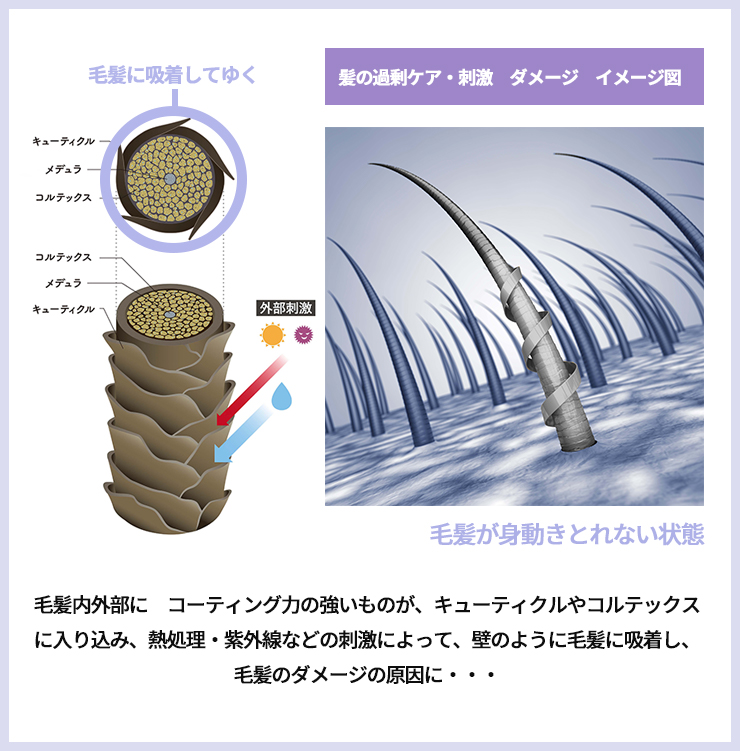 髪の過剰ケア・刺激 ダメージ イメージ図